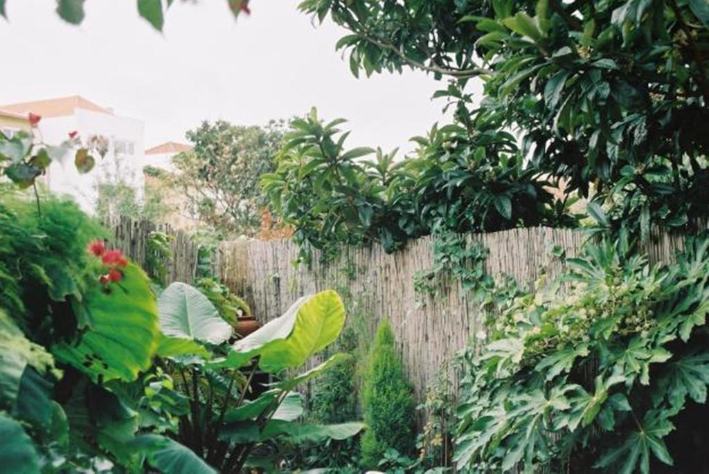 Apartment With Private Garden Porto Ruang foto